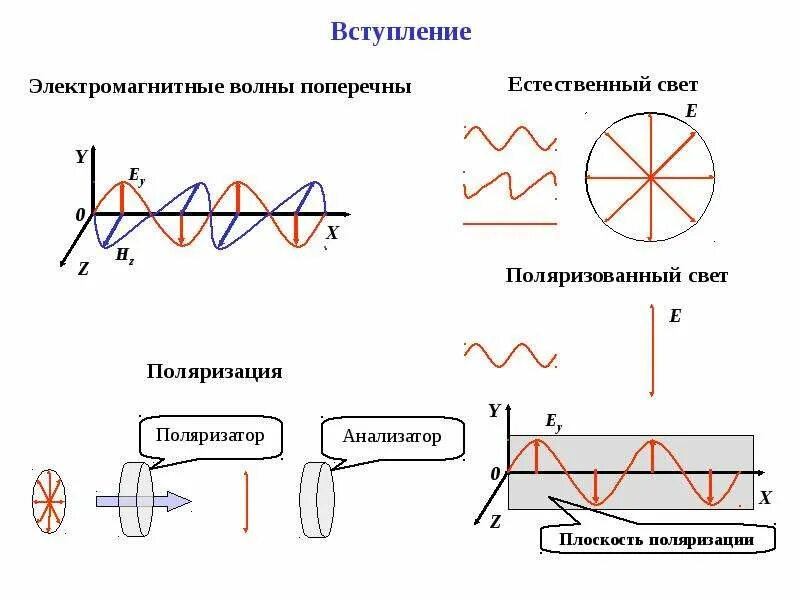 Поляризация рисунок. Типы поляризации электромагнитных волн. Линейная поляризация электромагнитных волн. Поляризация света поляризатор. Поляризация механических волн рисунок.