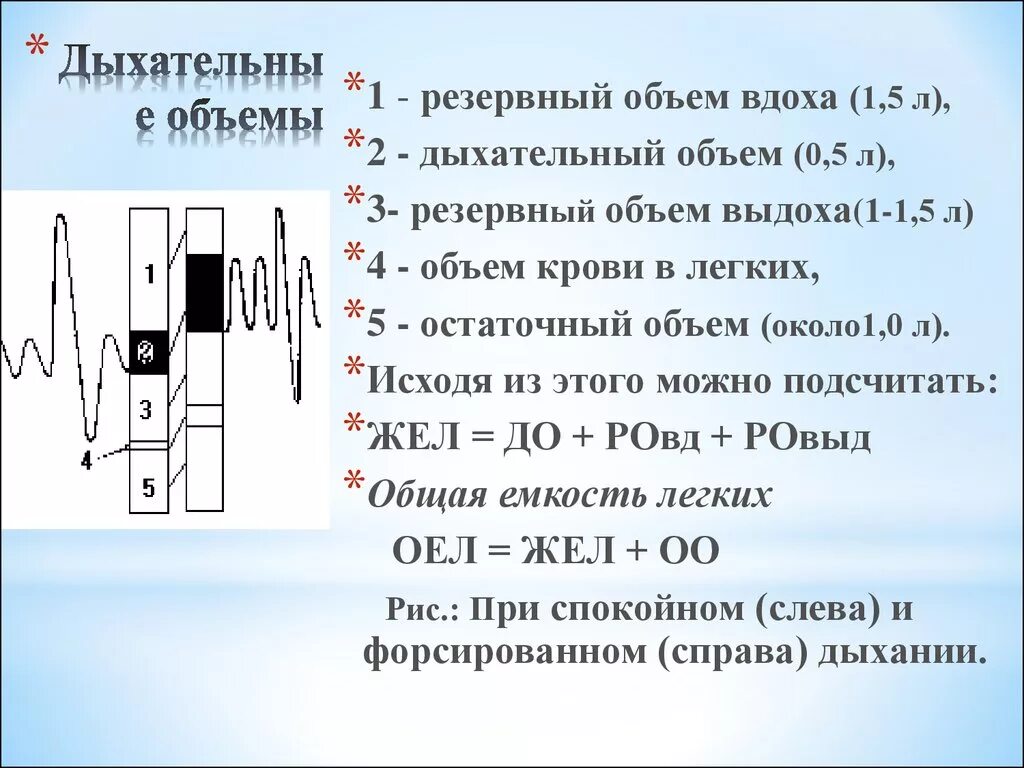 Формула емкости легких. Резервный объем вдоха и выдоха. Дыхательный резервный объем. Резервный объем вдоха резервный объем выдоха. Определение дыхательного объема.