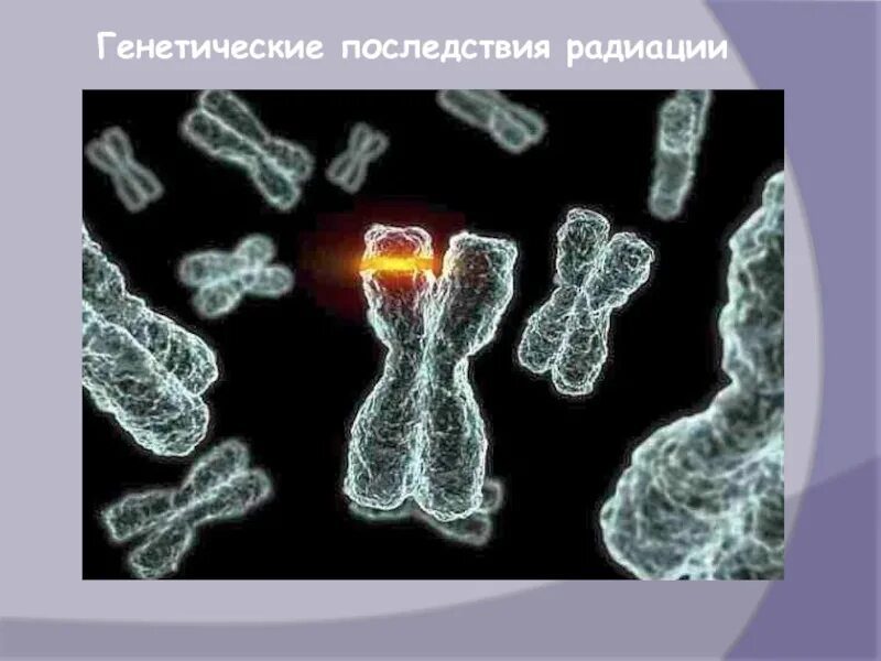 Последствия радиационных последствий. Генетические последствия радиации. Последствия радиации на человека. Последствия облучения. Генетические последствия радиационного облучения.