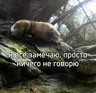 Ничего просто картинки