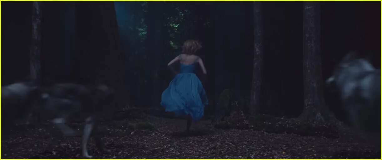 The woods swift. The woods swift