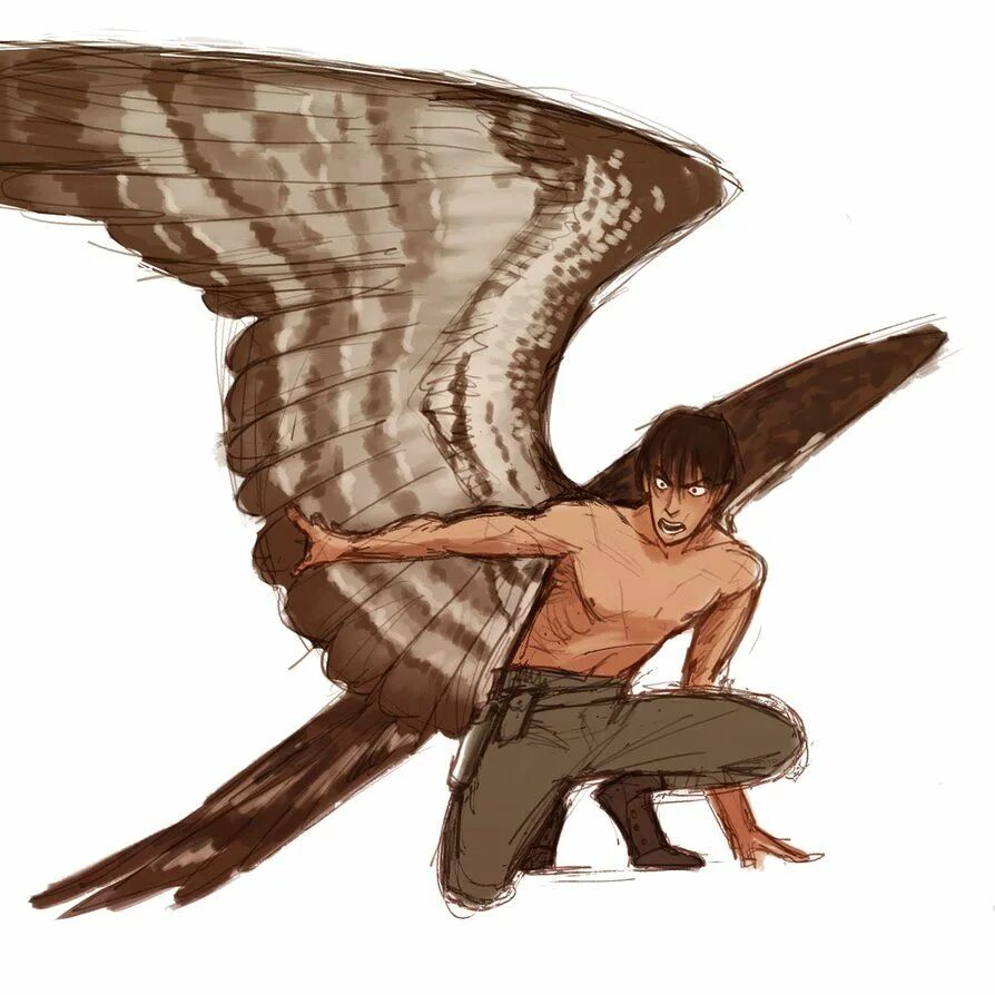 Держаться крыльями. Гарпия референс крыльев. Человек с крыльями. Люди х с крыльями. Человек с крыльями арт.