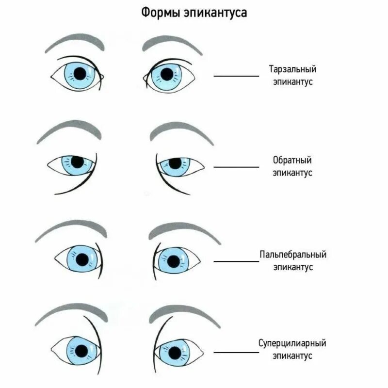 Различных образцов