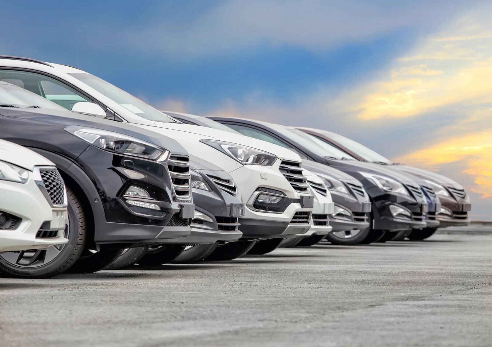 Auto entities. Auto entities