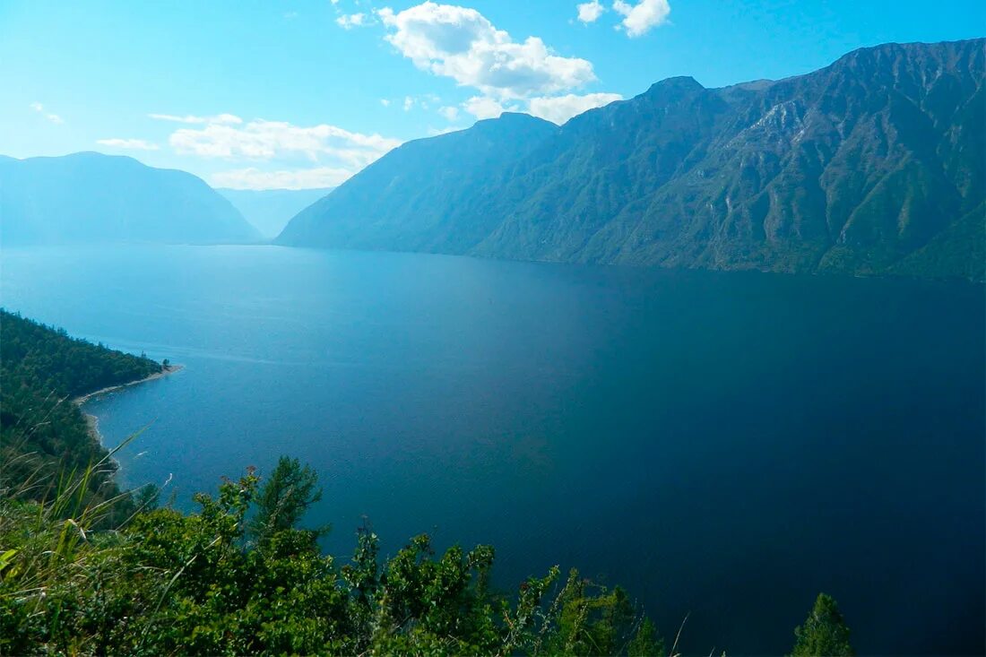 горный алтай море. тайга алтай телецкое озеро. горный алтай озеро телец. алтын кёль на телецком озере. озеро телецкое алтайский край.