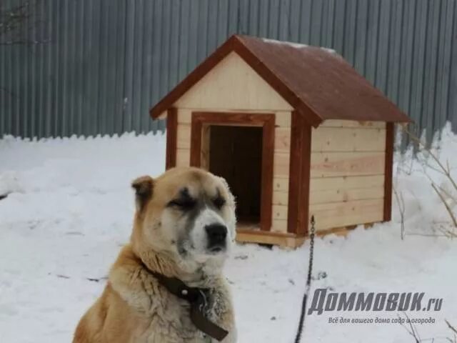 Размеры будки для собаки алабай. Собачья будка для алабая. Алабаи будка. Конура для собаки алабай. Алабаи будка.