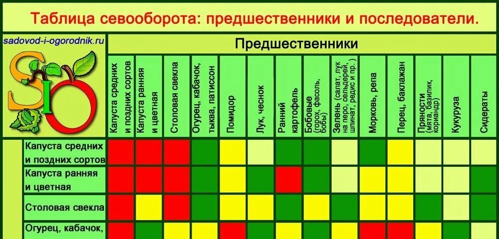 Лучшие предшественники для посадки овощей таблица. Севооборот в огороде таблица планирование посадки овощей. Соседство овощей на грядках таблица совместимости растений. Таблица совместимости посадок овощных культур. Предшественников и других.