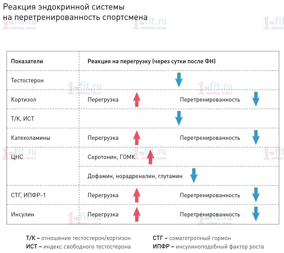 Изменения крови у спортсменов. Анализ крови спортсменов. Эндокринная система спортсмена. Анализ крови на перетренированность. Гипертрофия сердца у спортсменов пульс.