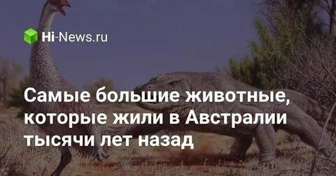 Самое большое животное которое жило