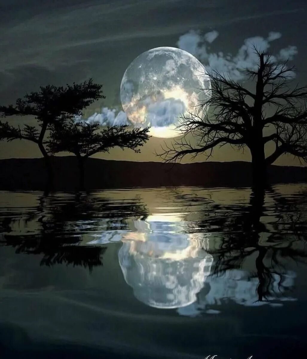 Луна в лесу. Кевин грант лунная луна. Монах медитирует. Медитация на луну картинки. Девушка с луной в руках.