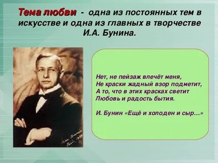 Бунин смысл