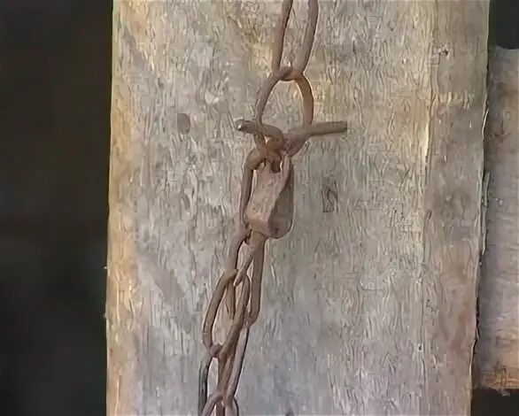 Держали детей на цепи мужское