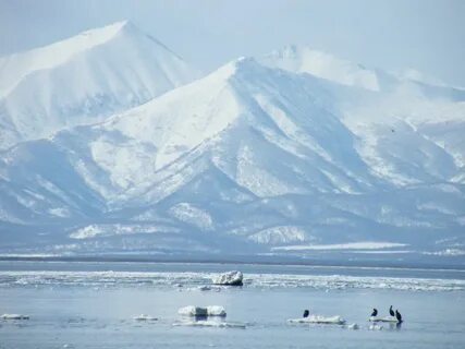 Камчатка в марте