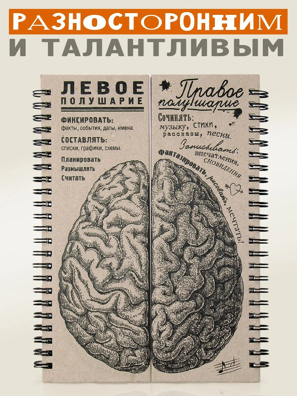 Мозг и его полушария. Блокнот мозги равные полушария. левое и правое полушарие. левое полушарие мозга. два полушария мозга.