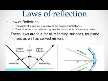 Define law
