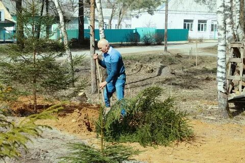 Посеявший или посеевший