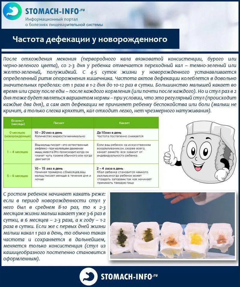 2 месяца не какает. Стул ребенка в 1 месяц на грудном вскармливании частота. Сколько должен какать новорожденный. Количество испражнений у грудных детей.