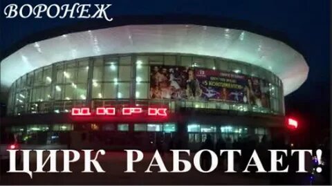 Будет ли завтра работать цирк