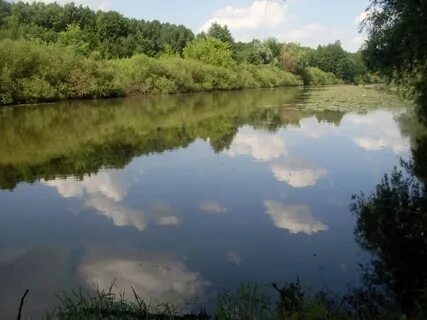 Оренбургская область сакмарский