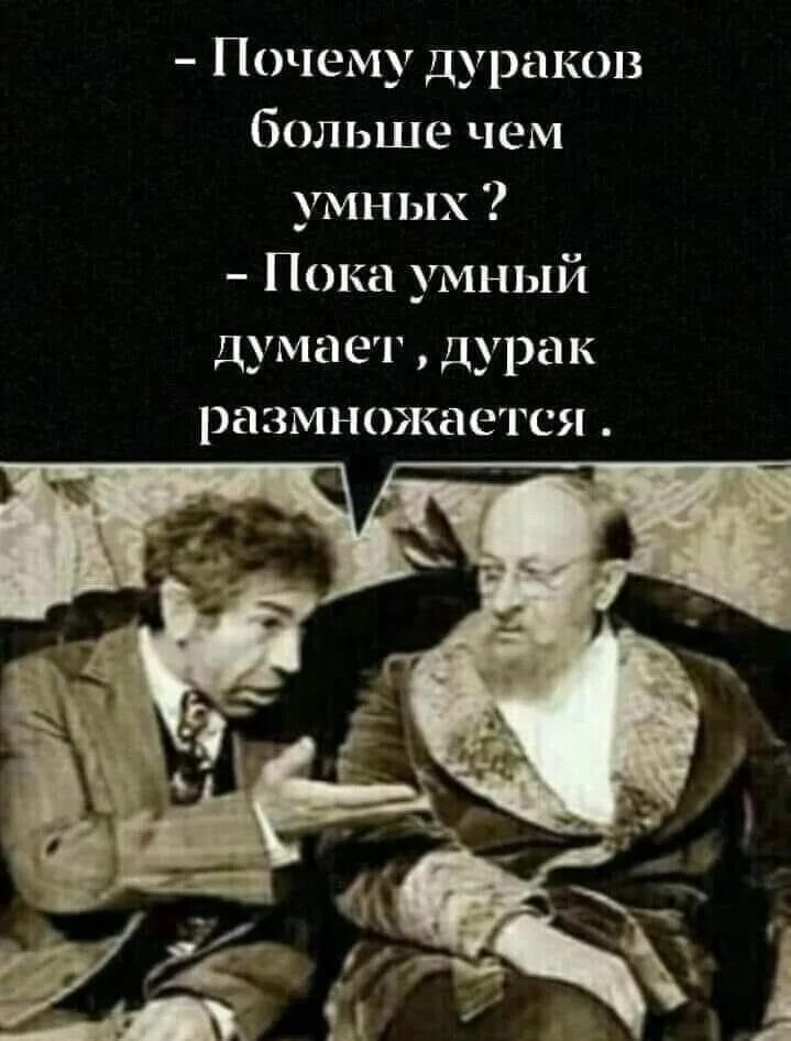 Думай умнее. Почему дураков больше чем умных. Пока умные думают дураки размножаются. Умный дурак. Дураков много.
