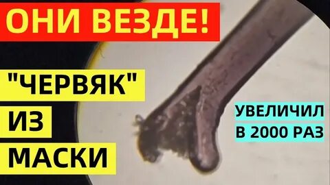 2000 раз