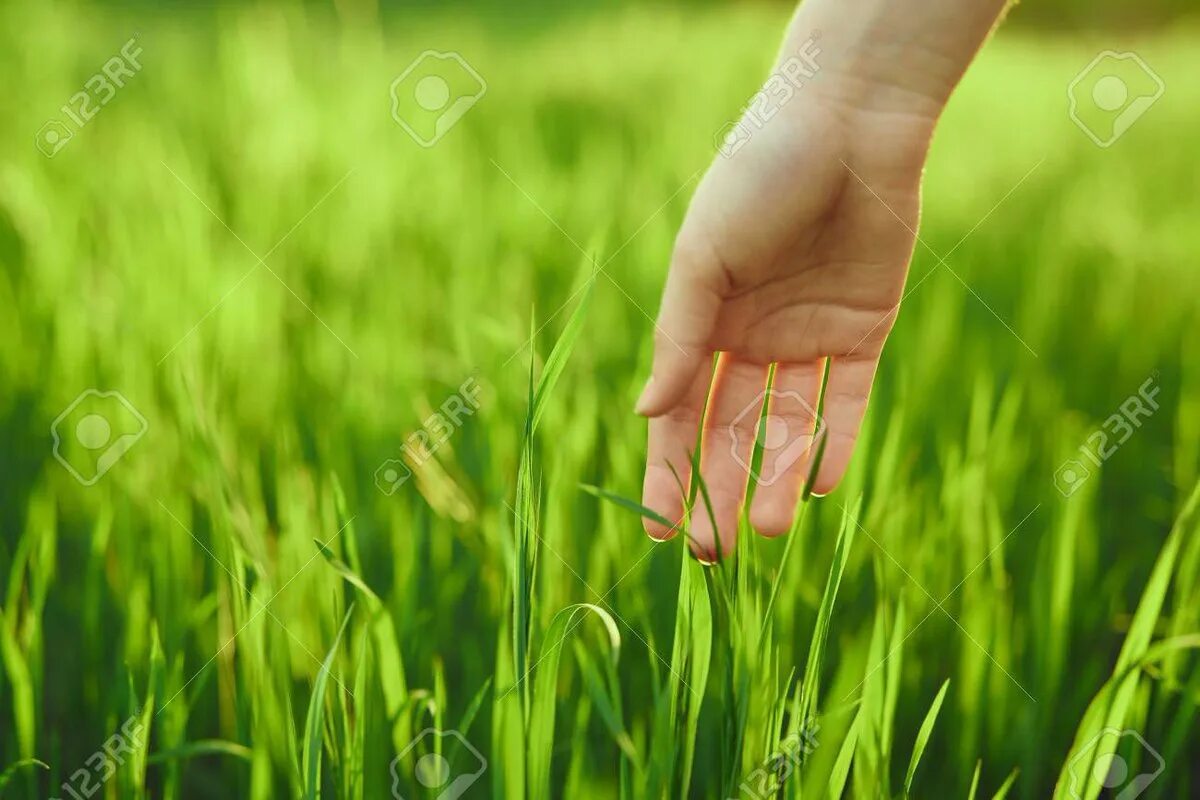 Touch grass. Touch grass. Touch grass now. Touch grass. Touch some grass.