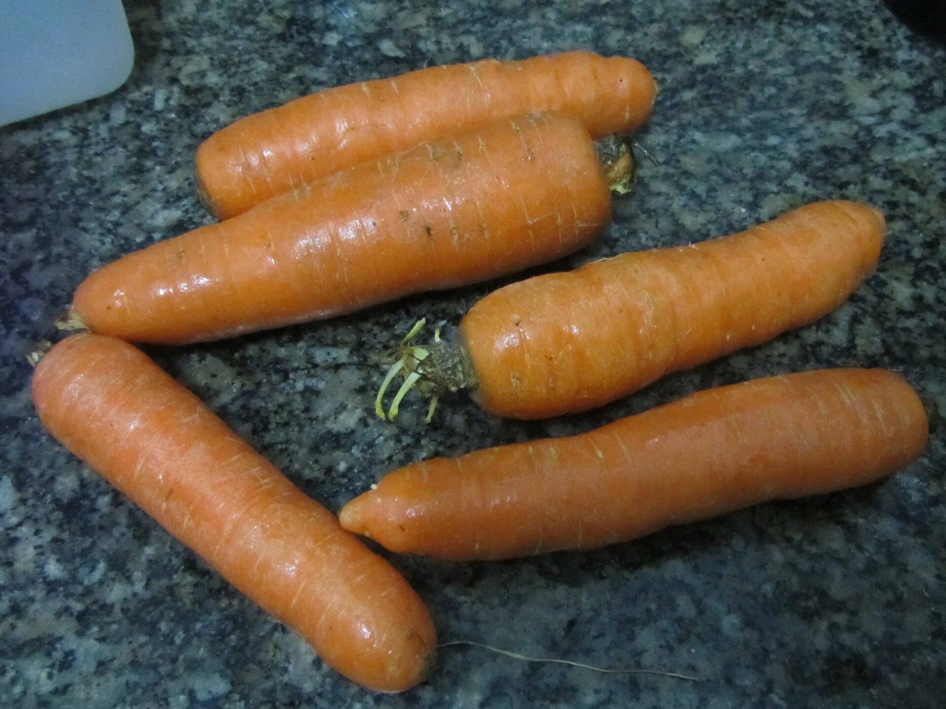 К чему снится морковь свежая. Морковь. Вареная морковка. Сырая морковь. Морковь обыкновенная.