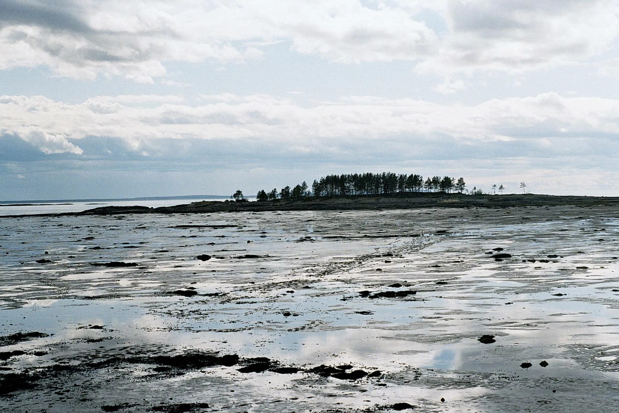 Приливы и отливы онега кий остров. Губа Осечкова белое море. Онежская губа. Онежская губа белого моря. Онега белое море отлив.