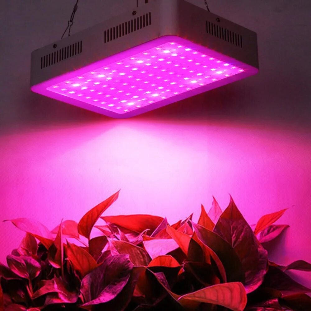 Led plant lights. Лампа для растений 1000w led. Фитолампа led grow Light. Фитолампа 3 спектра освещения. Фитолампа для растений 60w led.