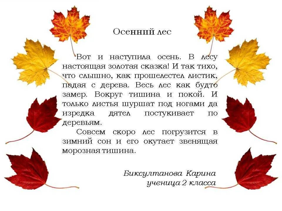 Сочинение ласковое. Сочинение на тему осень. Сочинение на тему осенний лес. Рассказ про осенний лес. Рассказ на тему осенний лес.