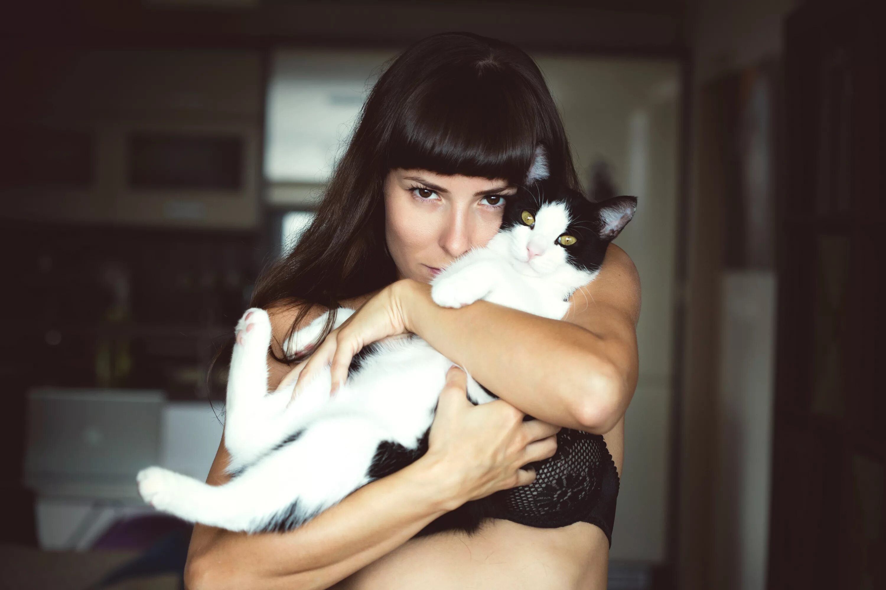 Девочка с котом. Девушка с котом. красивая девушка с котиком. женщина с кошкой. девушка с котом на руках.