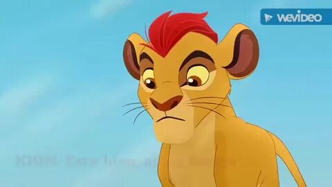 Wink kion