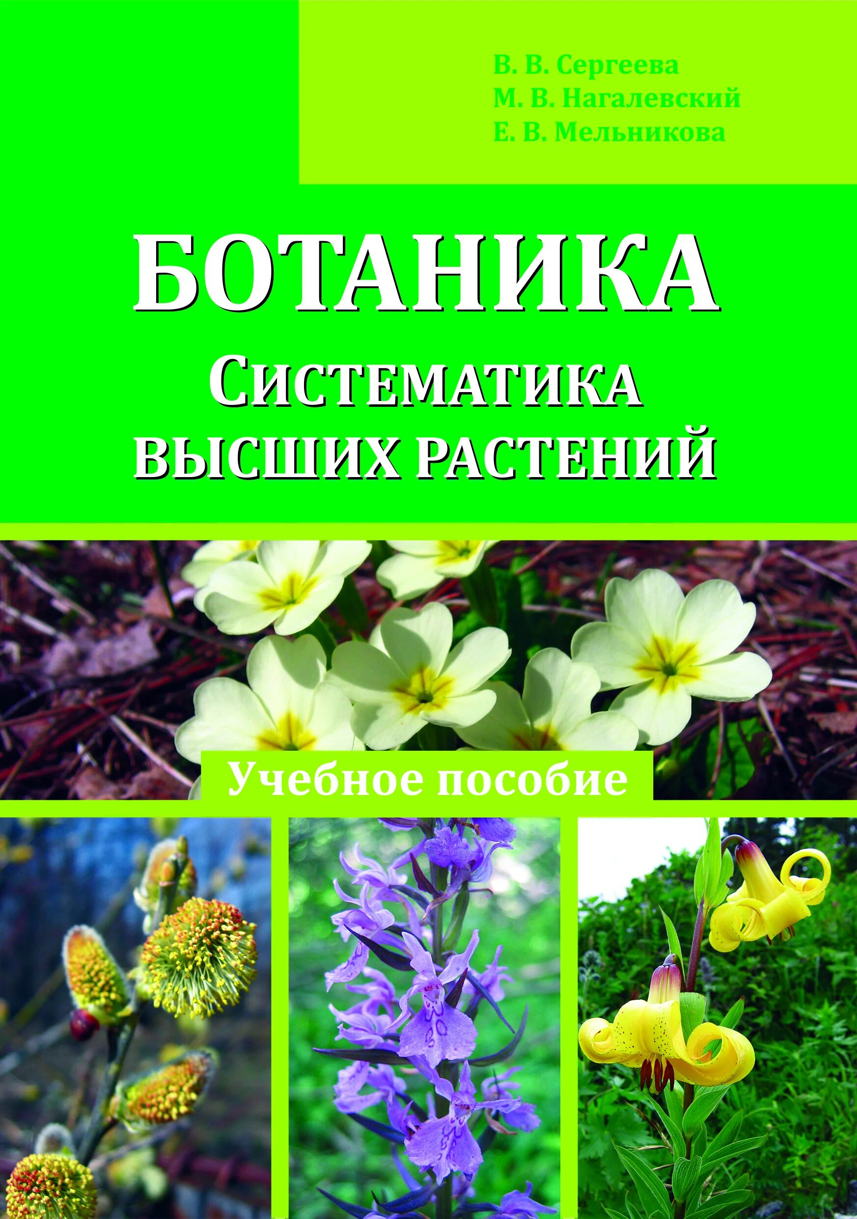 Систематика царства растений схема полная. Ботаник систематик. Ботаника высших растений еленевский. Систематика растений ее значение для ботаники. Учебник по ботанике систематика растений.