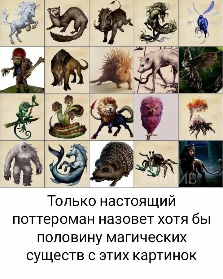 Different creatures. Different creatures
