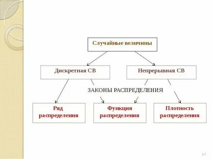 Какая величина является непрерывной