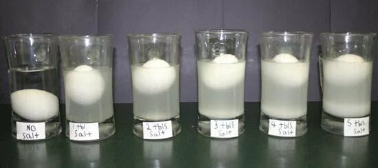 Опыт с солью и яйцом. Эксперимент с яйцом и соленой водой. эксперимент с яйцом и солью. опыт с яйцом и соленой водой.