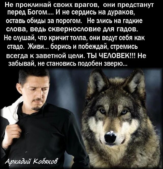 Как не стать врагом своему. Не проклинай своих врагов. не проклинай своих врагов они предстанут. предстать перед богом. картинка не проклинай своих врагов, они предстанут перед богом.