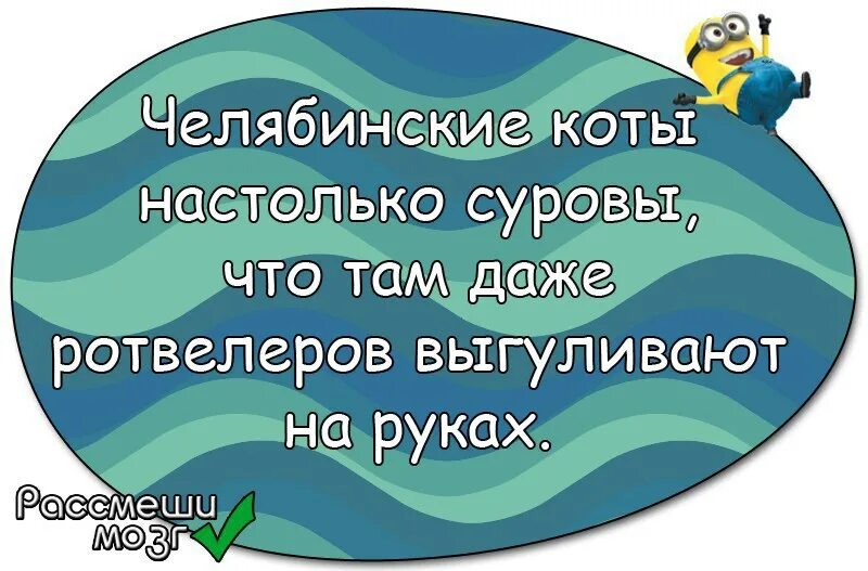 Давай встретимся в киеве в мае. Юмор и позитив Планета юмора и позитива. Статусы про выходные. Вот и закончились выходные статусы в картинках. Веселые статусы про выходные.