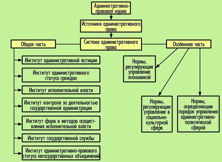 Уголовные отношения возникают между. Административное право. Административно правовые нормы.