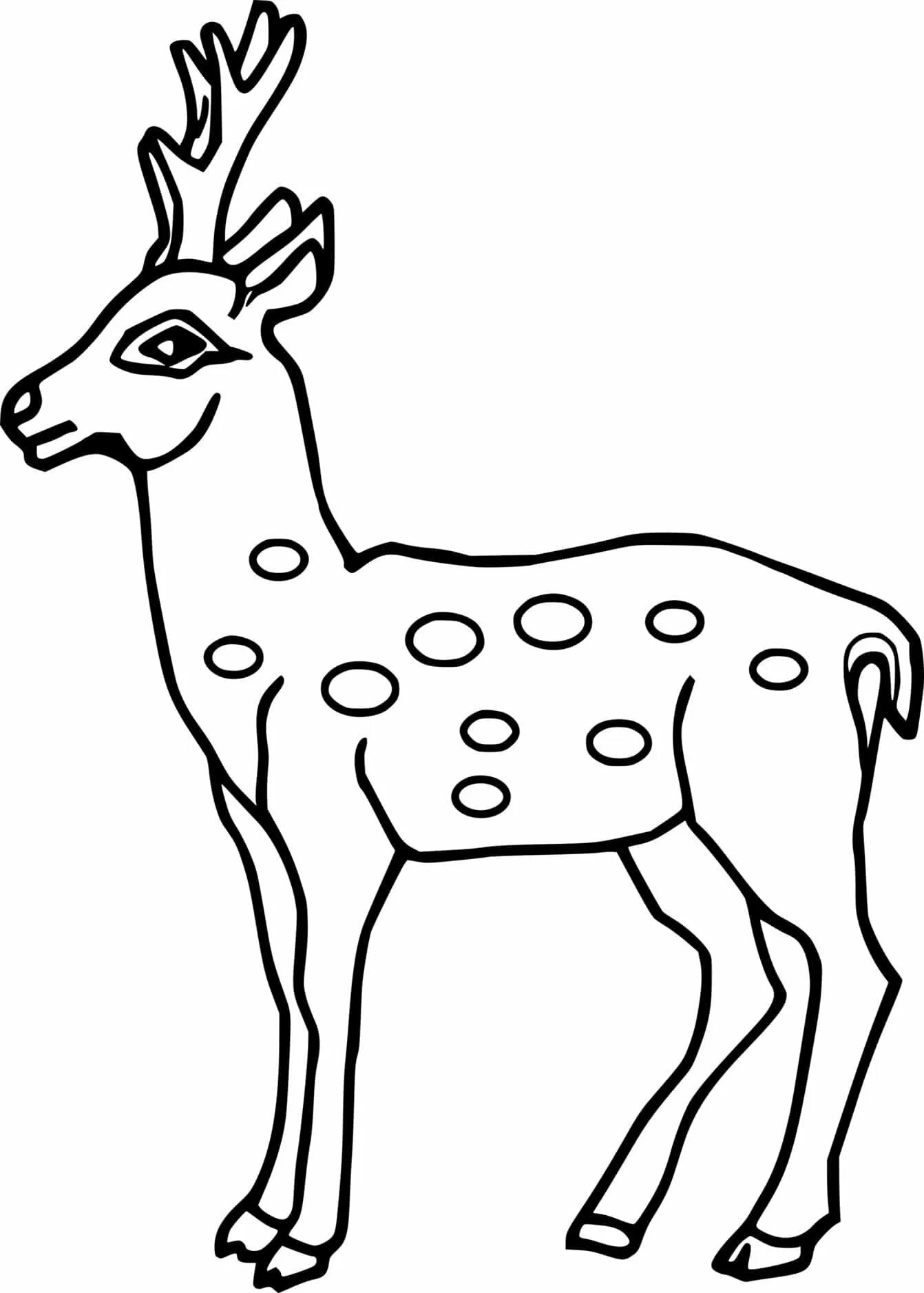 Пятнистый олень разукрашка. Олень раскраска. Олень раскраска для детей. Пятнистый олень раскраска