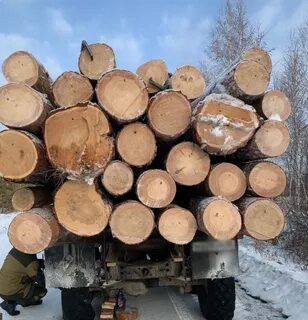 Иркутский лесной комплекс