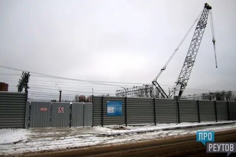 45 суток