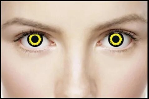 Wolf Contact Lenses.