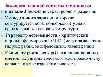 Закладка нервной