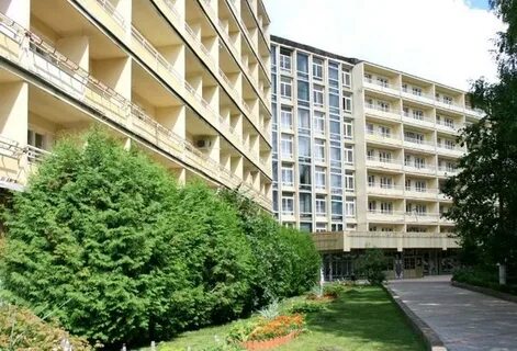 Березовая роща д аксаково