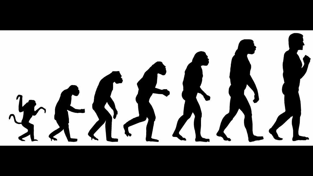 Теория эволюции Дарвина. Эволюция картинки. От обезьяны к человеку. Развитие человека. Эволюция видна