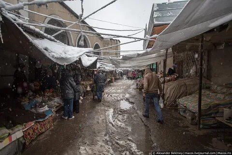 Погода тараны