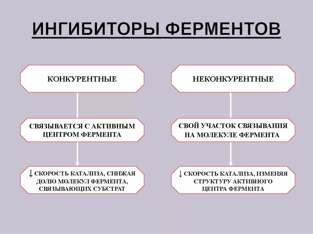 Понятие об ингибиторах ферментов. Конкурентные ингибиторы ферментов. Типы ингибирования ферментов. Виды ингибирования активности ферментов.