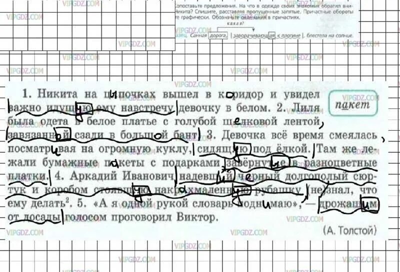 Русский язык 7 класс упражнение 88. Русский язык 7 класс ладыженская упражнение 88. Русский язык 7 класс упражнения.