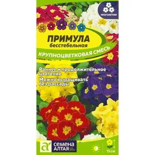 Чем подкормить примулу для цветения